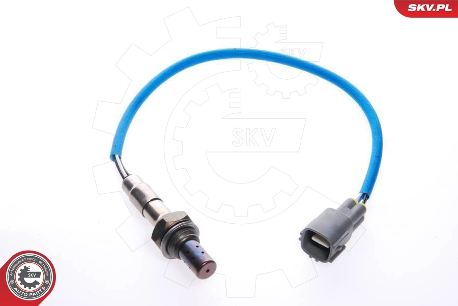 Oxygen Sensor